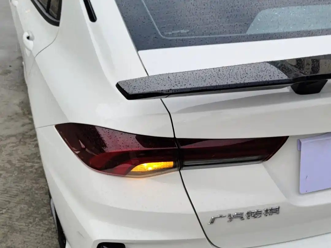 GAC Trumpchi Trumpchi Emkoo 2024 Model 270T DCT Shadow Leopard R-Style Edition фото 6