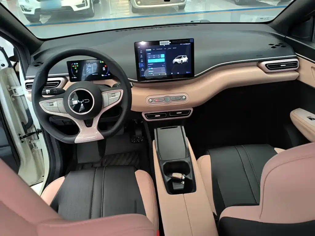 BYD Seagull 2026 2025 Smart Drive Edition 305km Vitality Version
