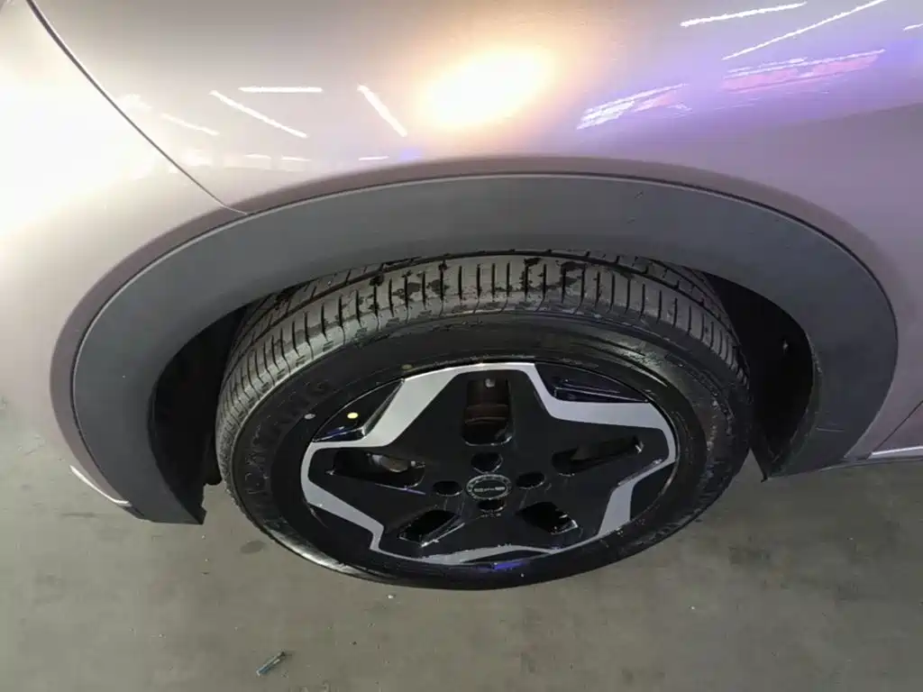 BYD Dolphin 2022 2021 405km Freedom Edition