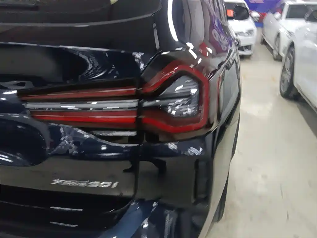 BMW X3 2022 Facelift xDrive30i Leading M Shadow Edition фото 24