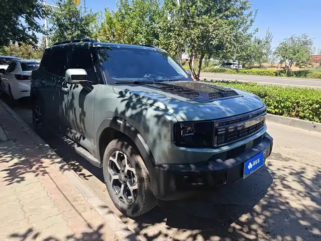 Jetour Shanhai Jetour Shanhai T1 2025 150km Ocean Edition