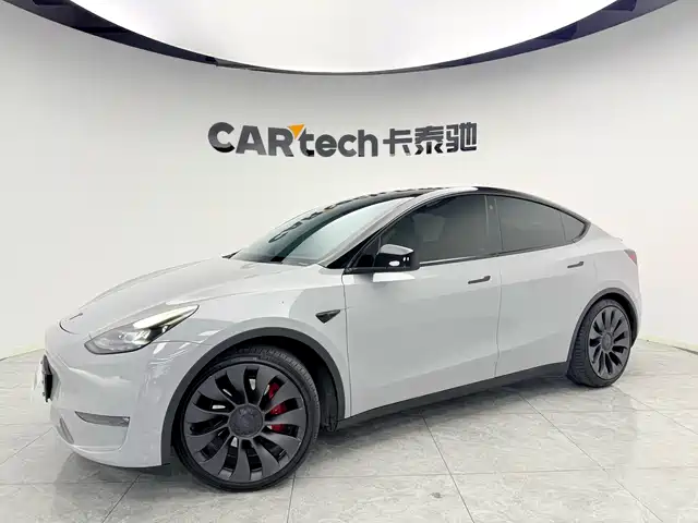 Tesla Model Y 2022 Performance High-Performance All-Wheel Drive Version
