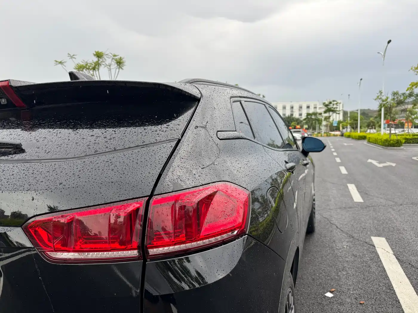 WEY P8 2018 2018 2.0T Flagship Model