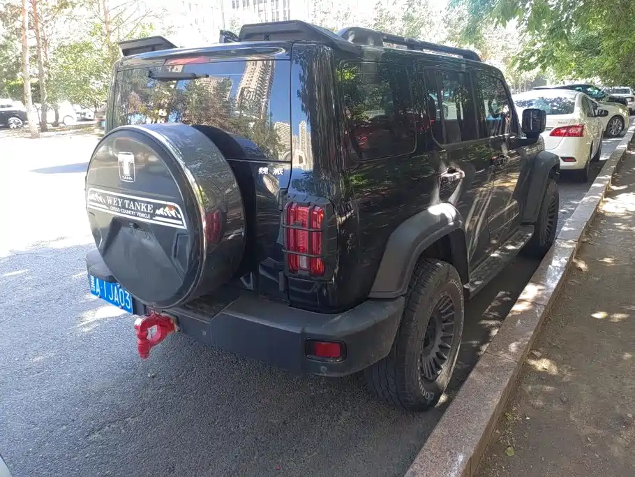 Tank 300 2021 2021 Off-road Version 2.0T Conqueror