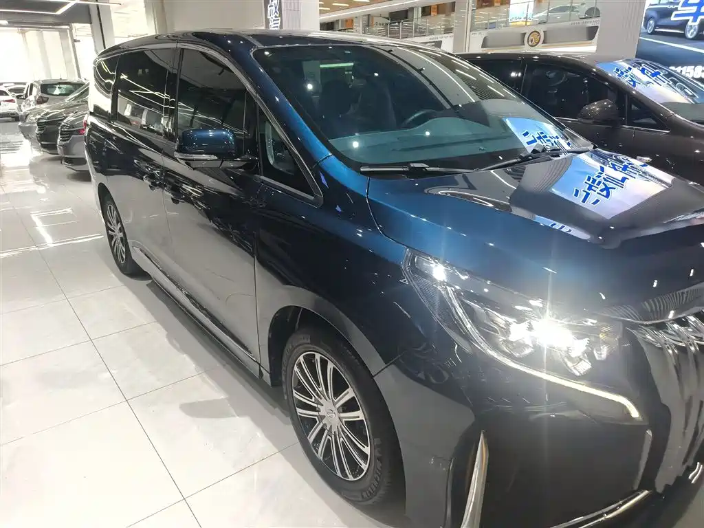 GAC Trumpchi Trumpchi M8 2021 Leading Show Series 390T Prestige Edition фото 22