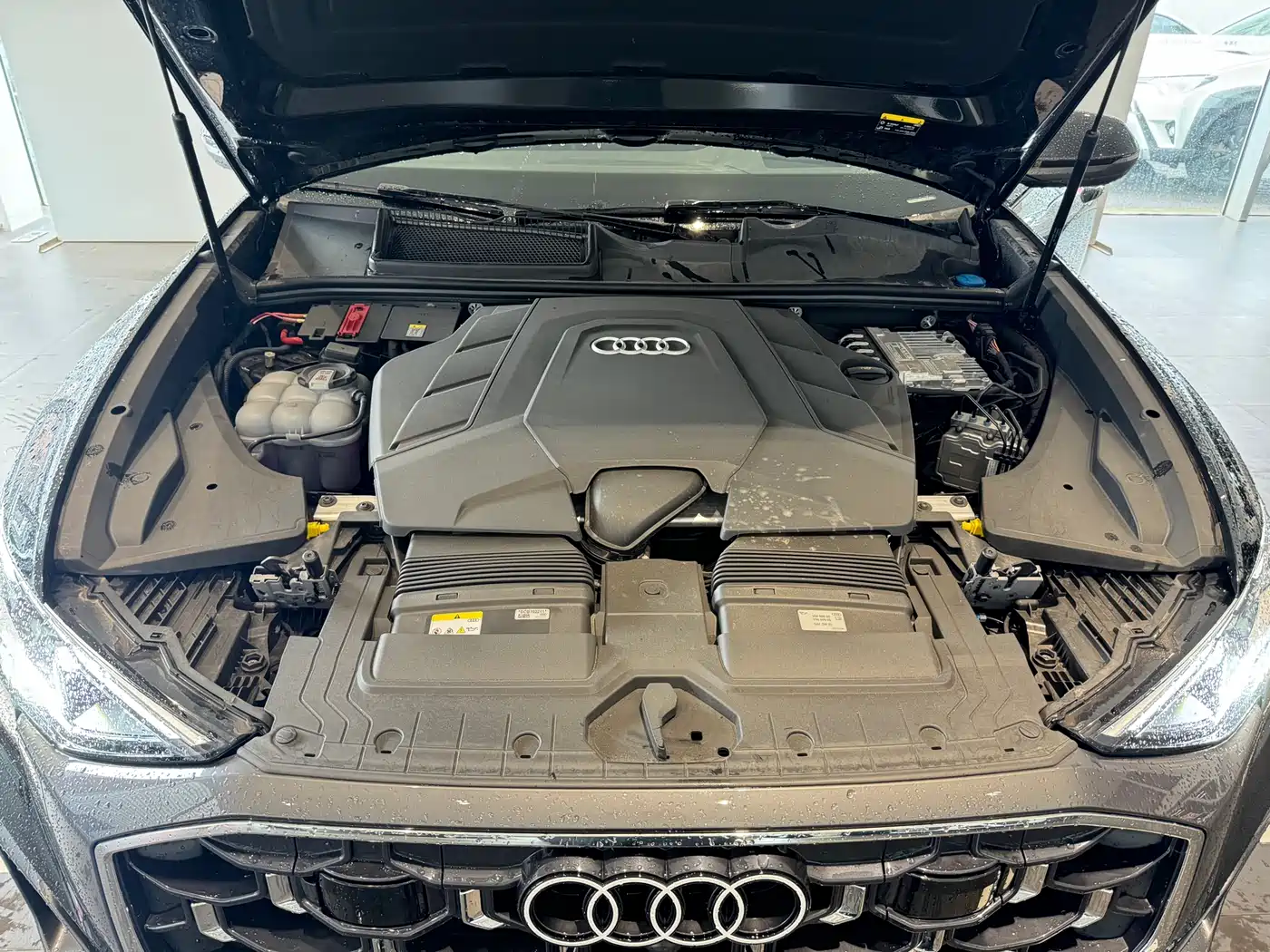 Audi Q8 2024 55 TFSI Luxury Sport фото 19