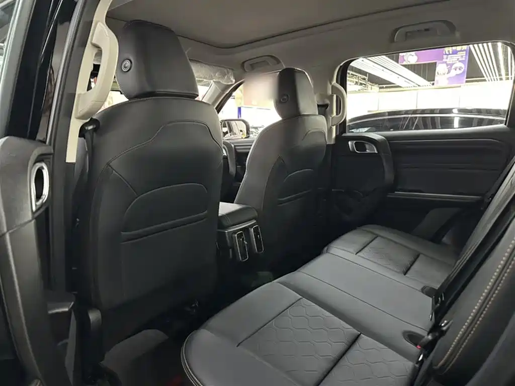 Haval Big Dog 2024 1.5T DCT Border Collie Edition фото 17