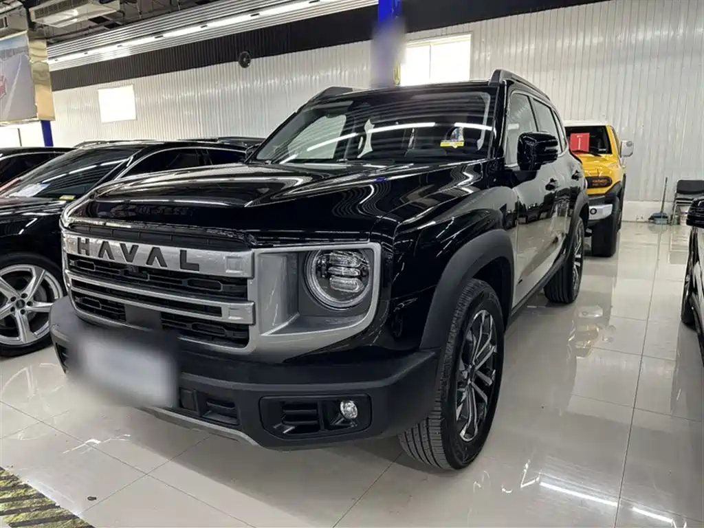 Haval Big Dog 2024 1.5T DCT Border Collie Edition фото 2
