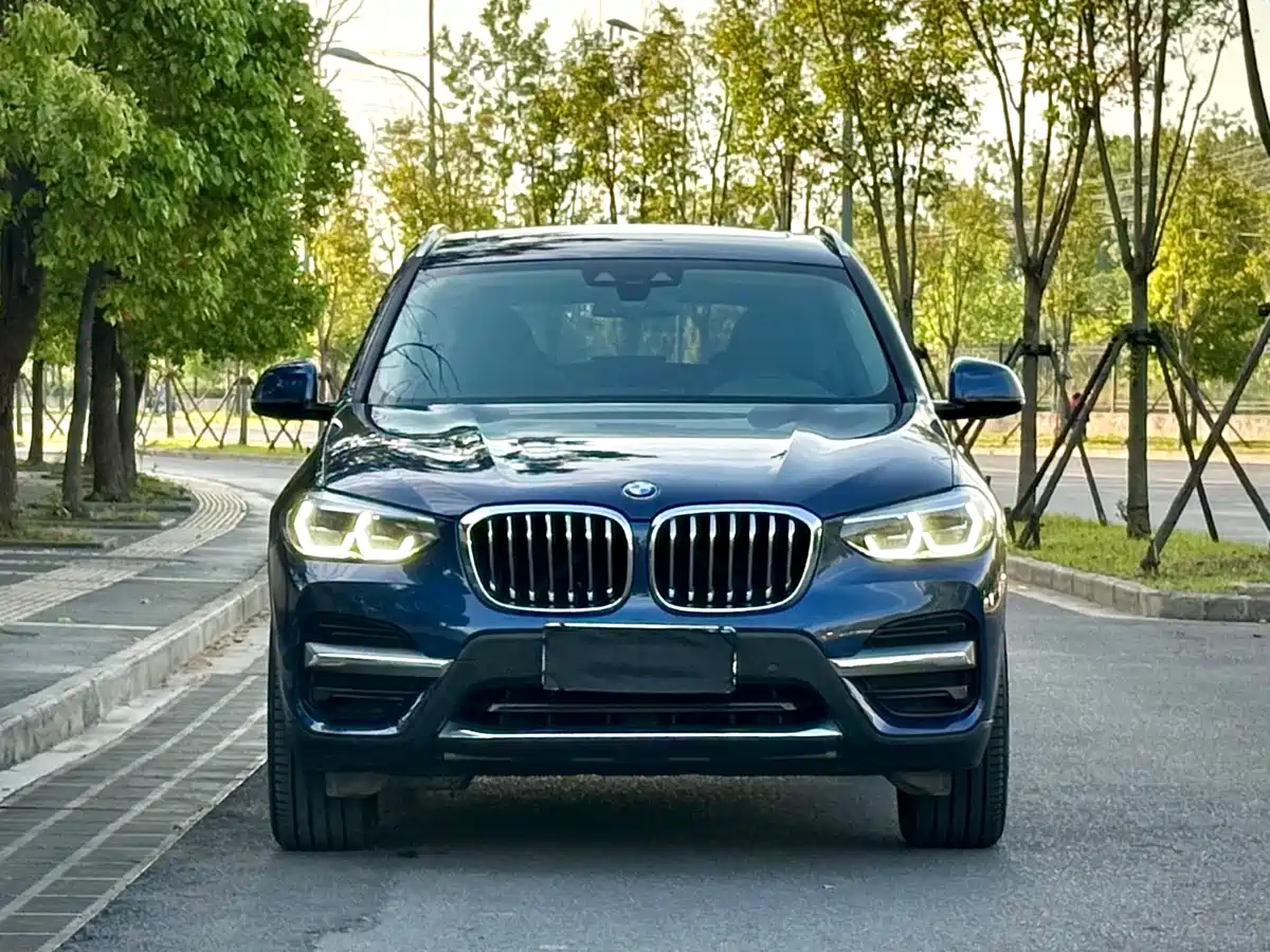 BMW X3 2019 xDrive28i Luxury Package фото 9