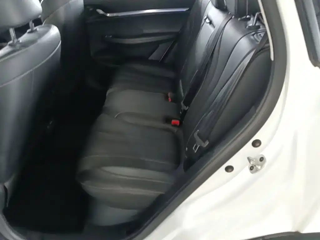 Roewe RX5 eMAX 2022 2022 1.5T PHEV Fearless Honor Edition