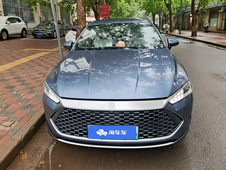 BYD Qin PLUS 2024 Glory Edition DM-i 55KM Leading фото 2