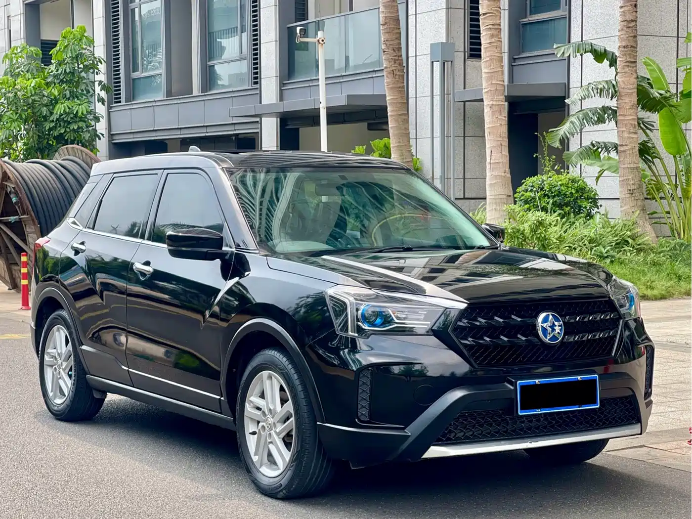 2021 Venucia T60
