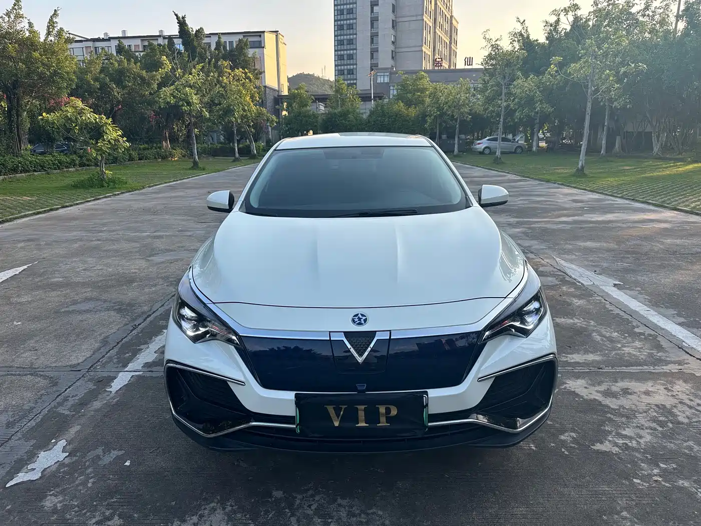 2024 Venucia D60EV