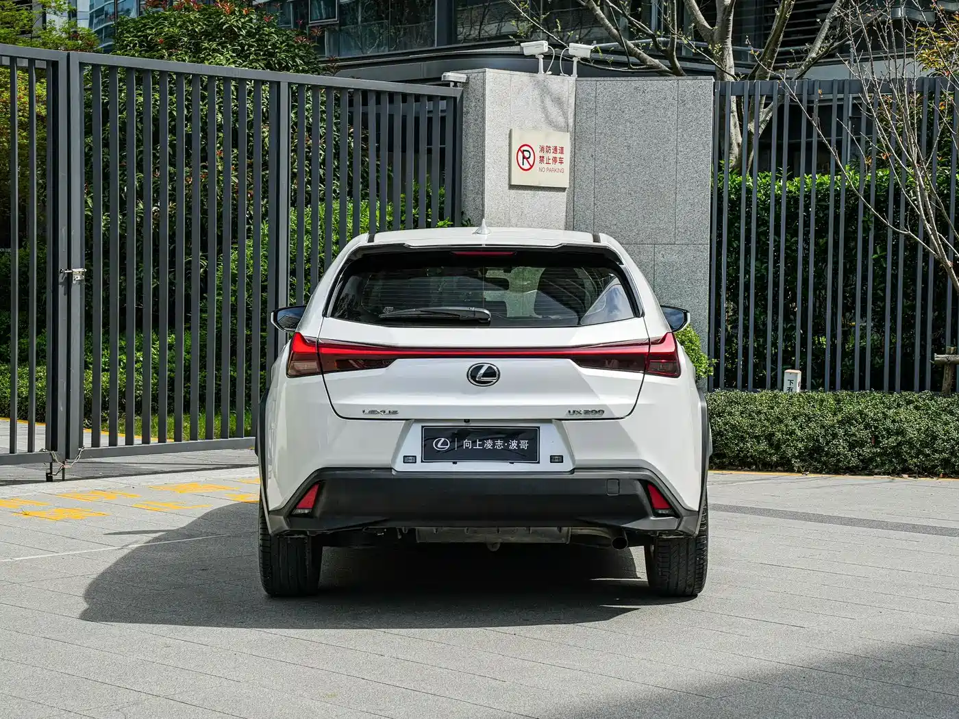 Lexus UX 2020 200 Special Edition фото 5