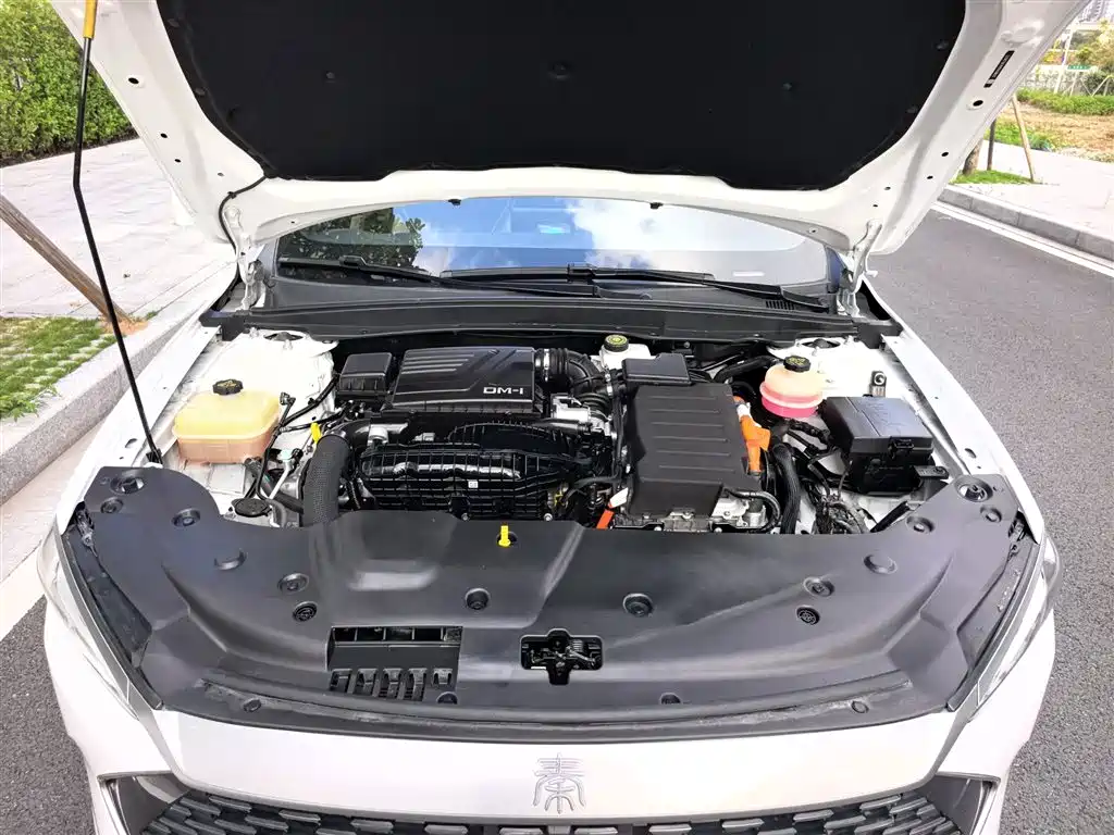BYD Qin PLUS 2021 DM-i 55KM Flagship фото 10