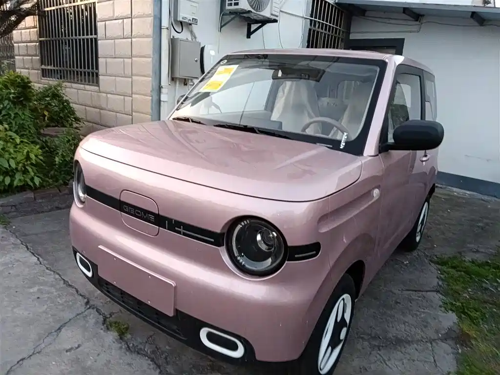 Geely Galaxy Panda 2025 Panda mini 210km Vitality Bear фото 2