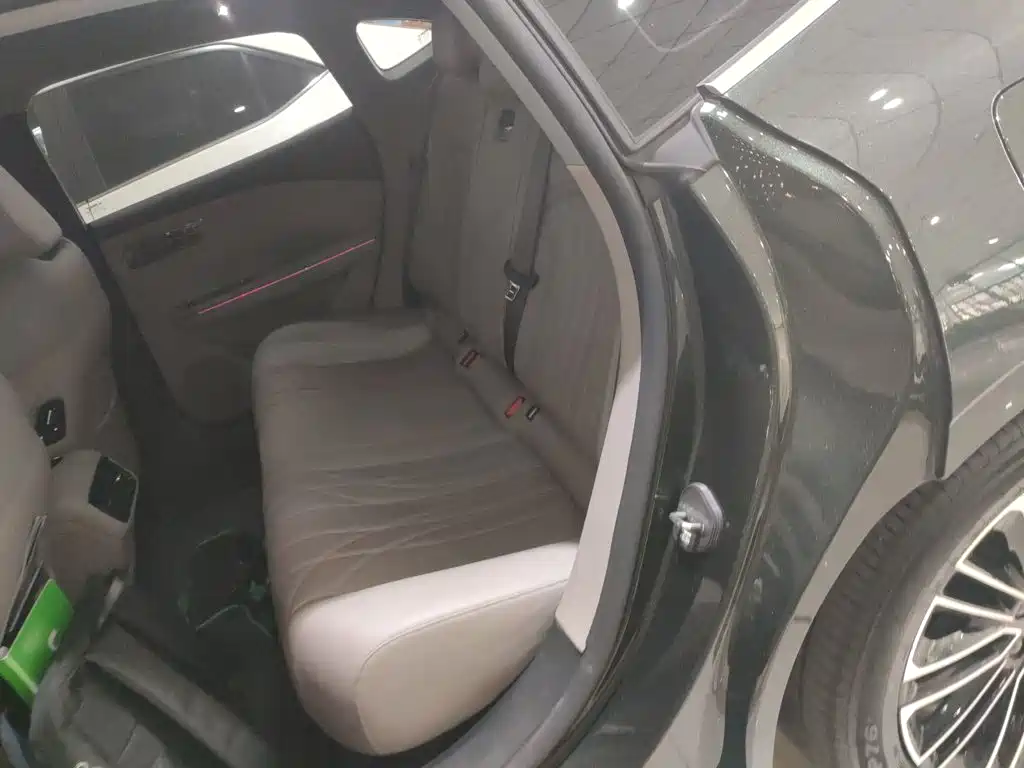 Geely Galaxy Galaxy Xingyao 8 2025 2025 130km EM-i Premium Edition
