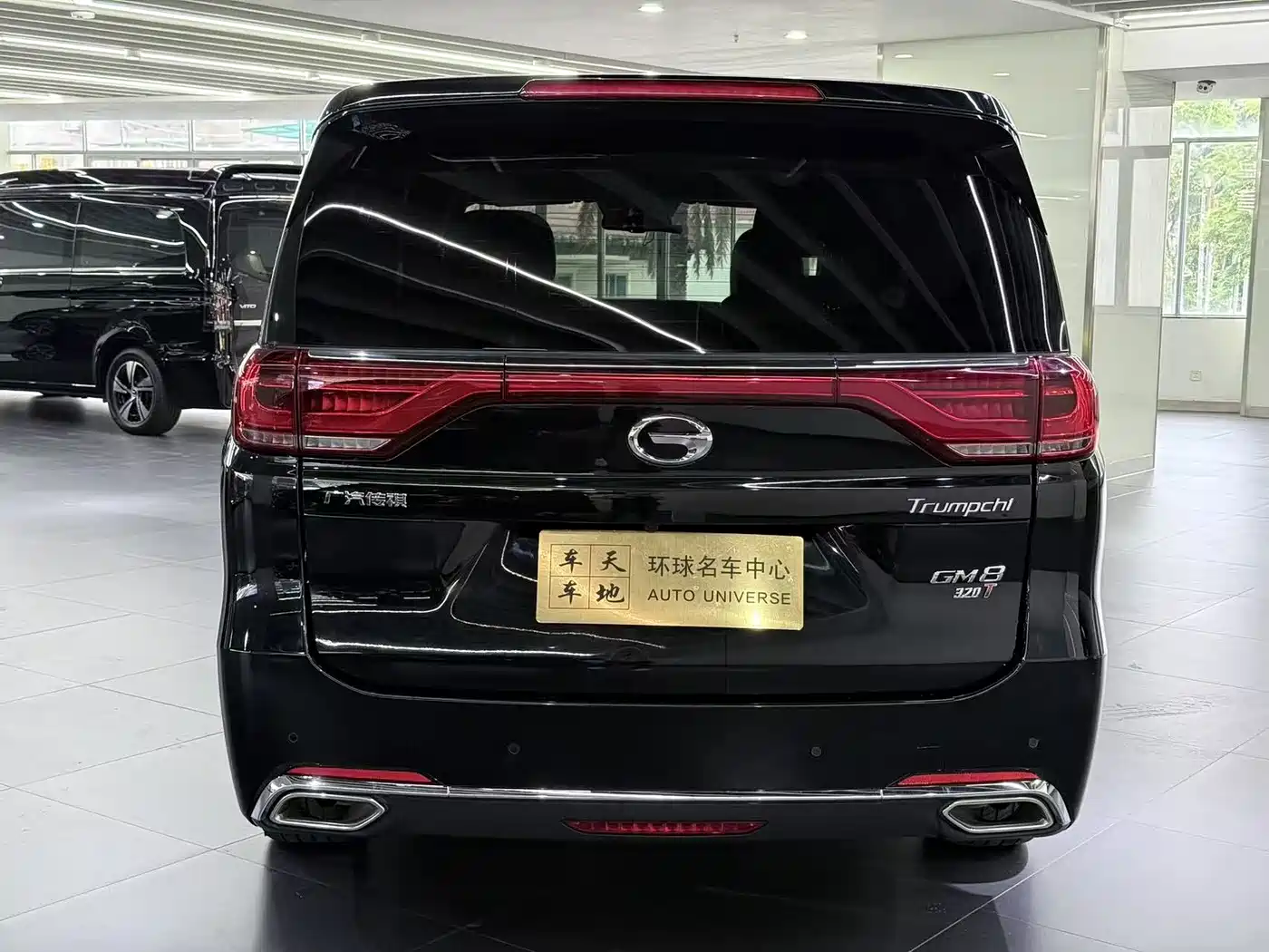 GAC Trumpchi Trumpchi M8 2018 320T Premium Edition фото 5