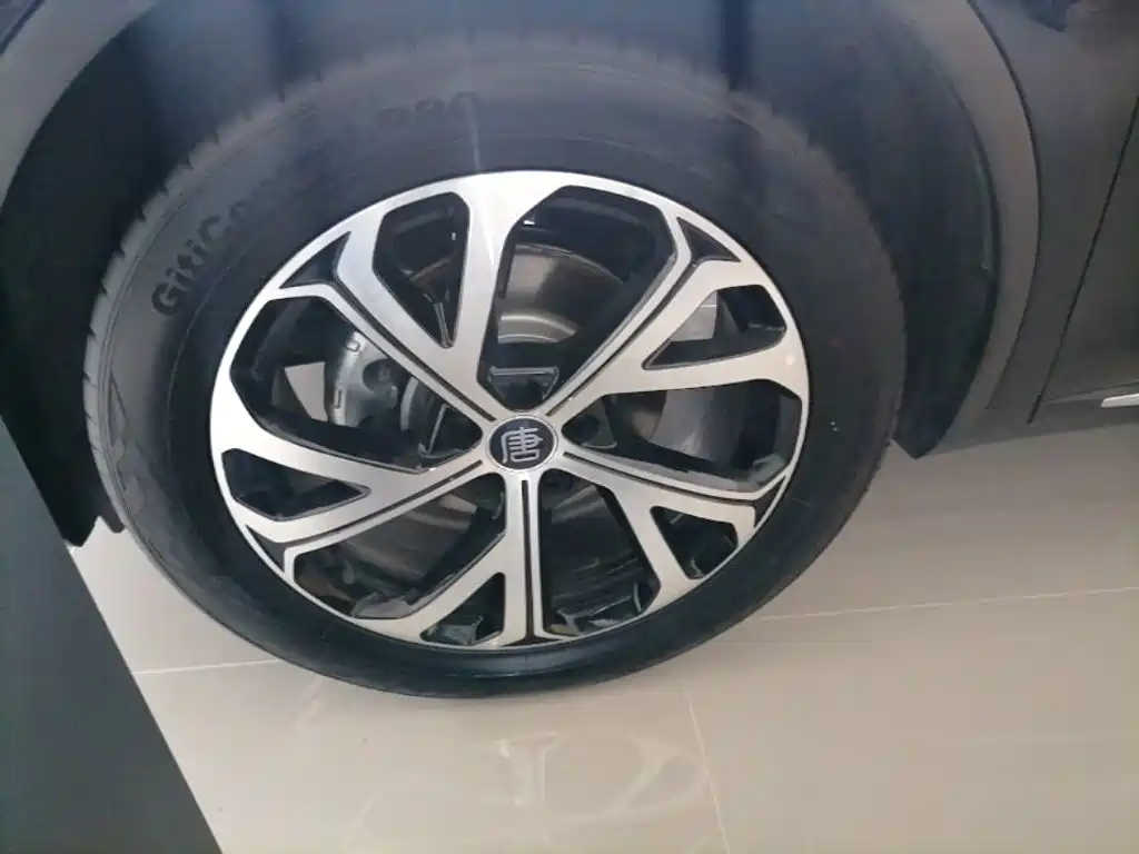 BYD Tang New Energy 2025 2025 Smart Driving Edition DM-i 115KM Flagship