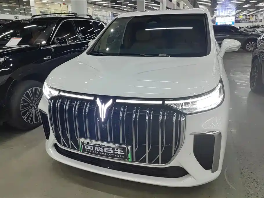 Voyah Auto Voyah Dreamer 2024 PHEV Extended Range Flagship Edition фото 2