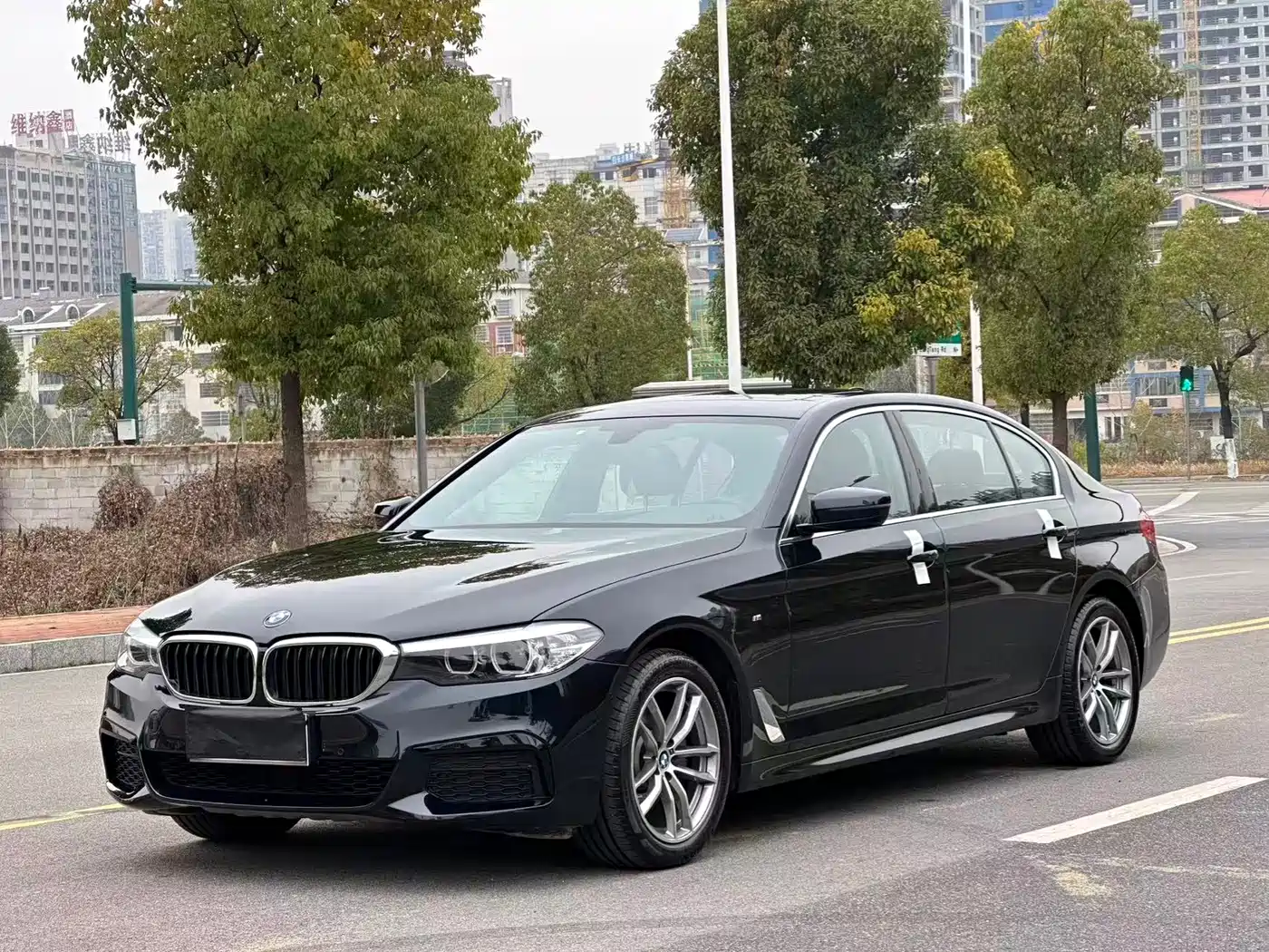 BMW 5 Series 2020 525Li M Sport Package