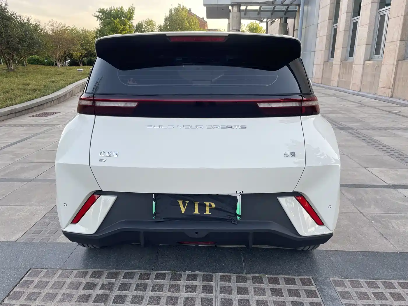 BYD Seagull 2023 Vitality Edition фото 4