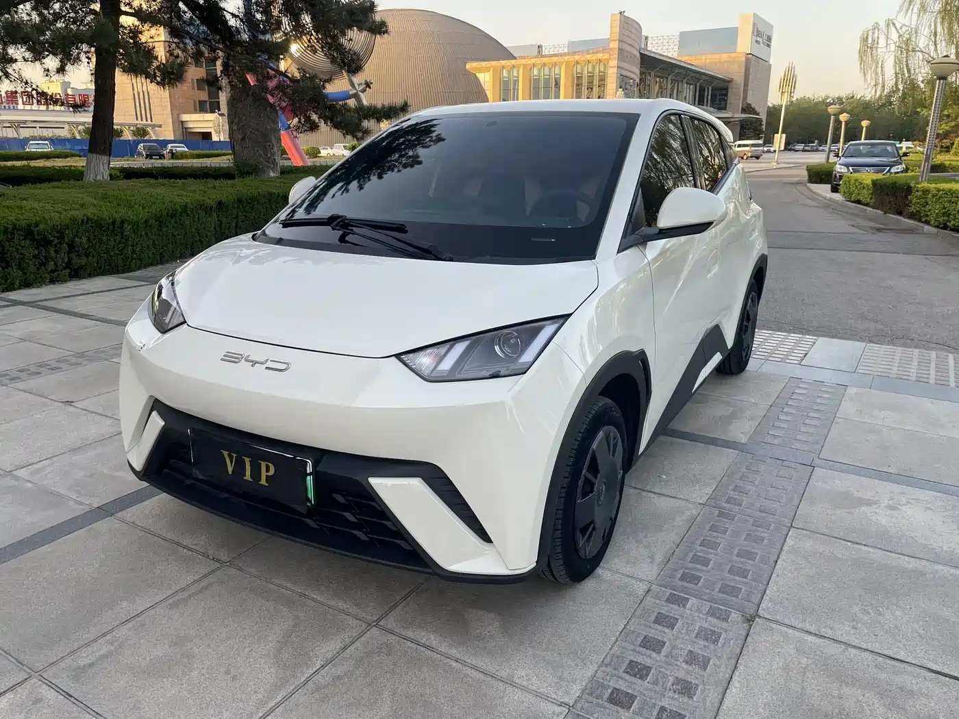BYD Seagull 2023 Vitality Edition фото 2