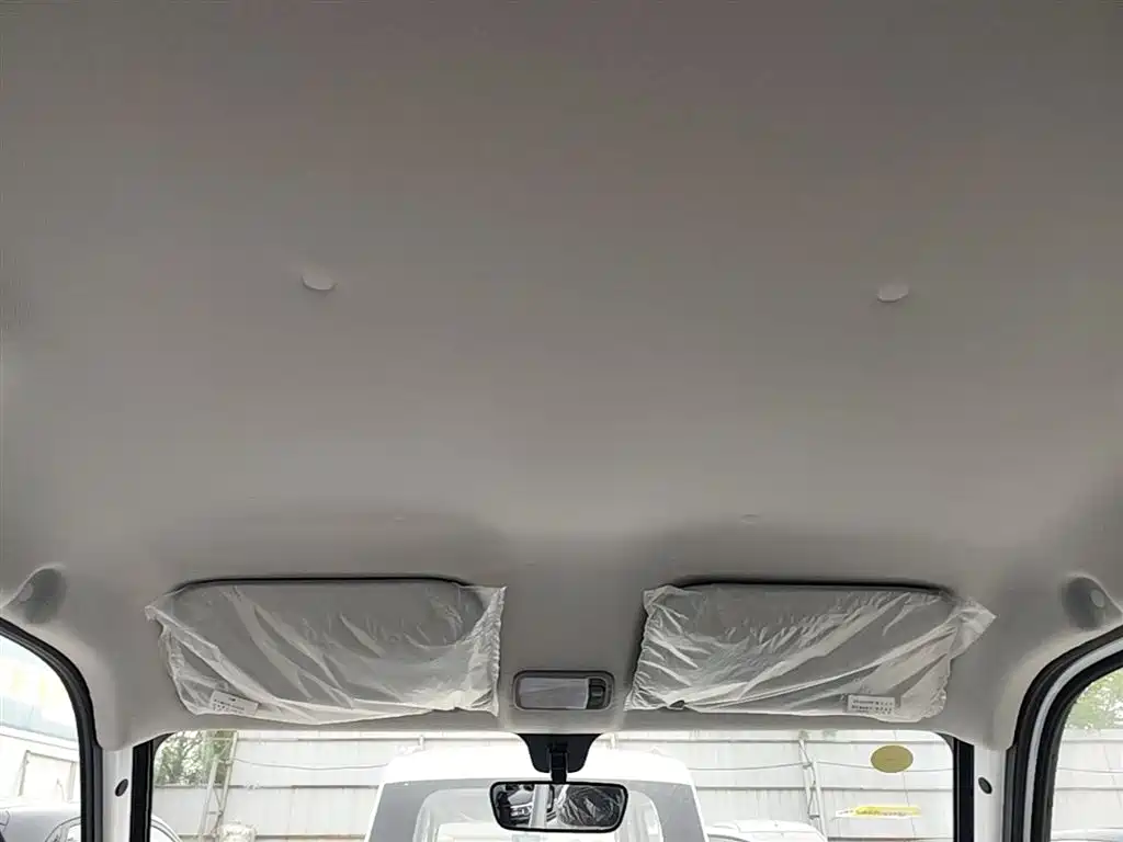 Wuling Motors Wuling Zhiguang NEV 2026 2025 Standard Version