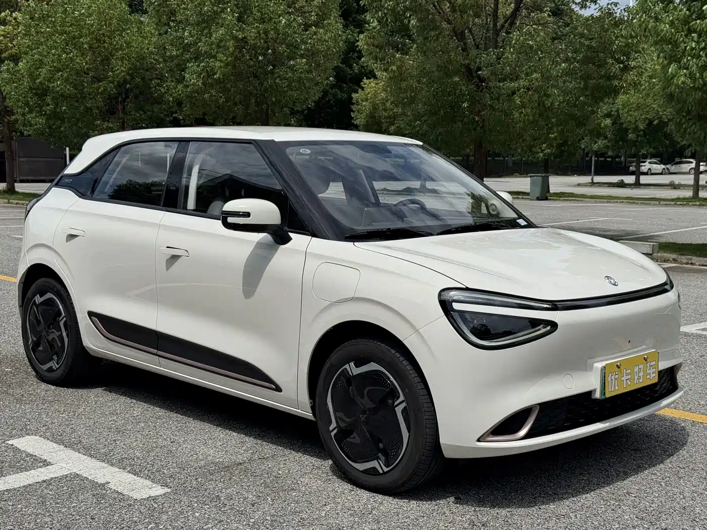 Dongfeng Yipai Nano 01 2025 2024 330 Plus Smart+