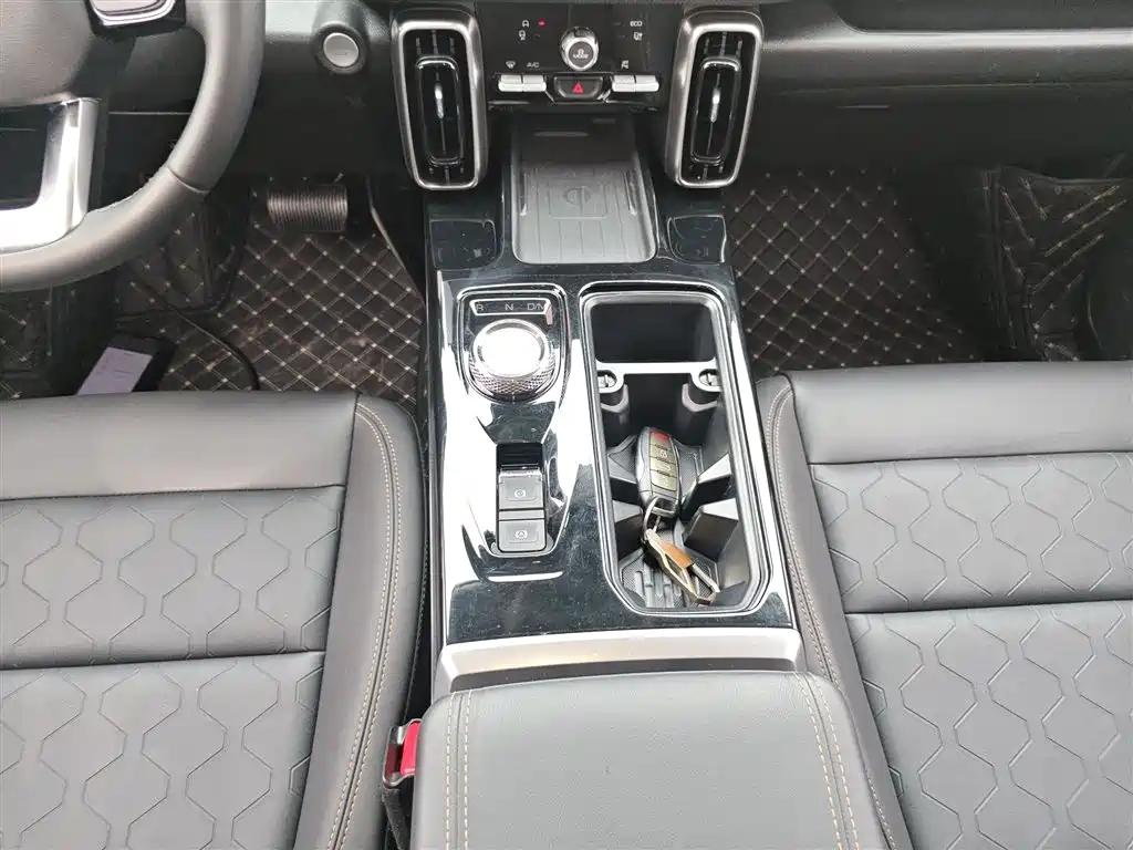 Haval Big Dog 2021 1.5T DCT 2WD Border Collie Edition фото 10