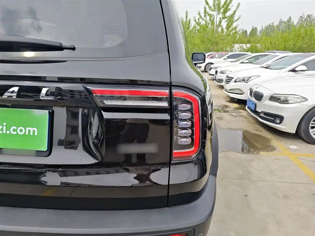 Haval Big Dog 2021 1.5T DCT 2WD Border Collie Edition фото 24