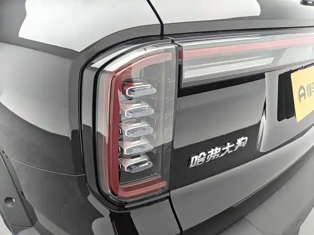 HAVAL BIG DOG