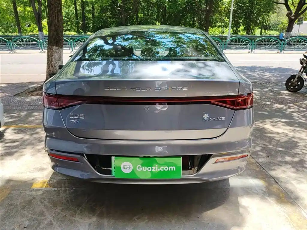 BYD Qin PLUS 2024 Glory Edition DM-i 55KM Leading фото 4