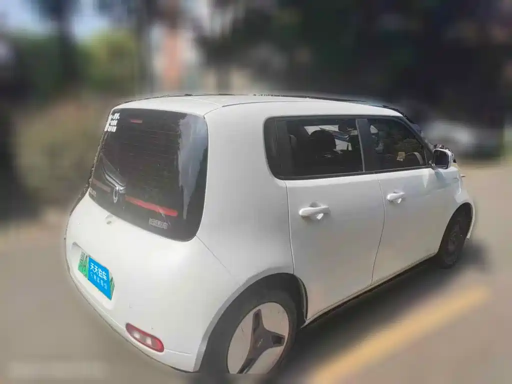Ora White Cat 2020 2020 360km Luxury Model