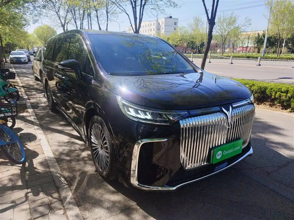 Voyah Auto Voyah Dreamer 2025 PHEV AWD Flagship Kunpeng Edition фото 22