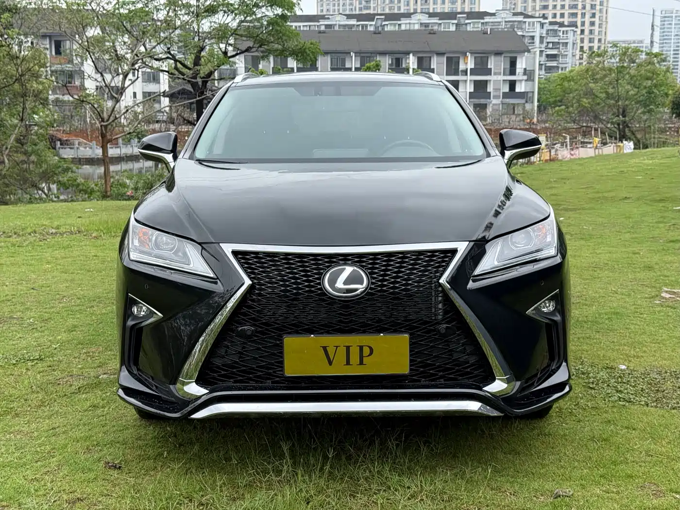 Lexus RX 2016 300 2WD Elite Edition (China V) фото 2