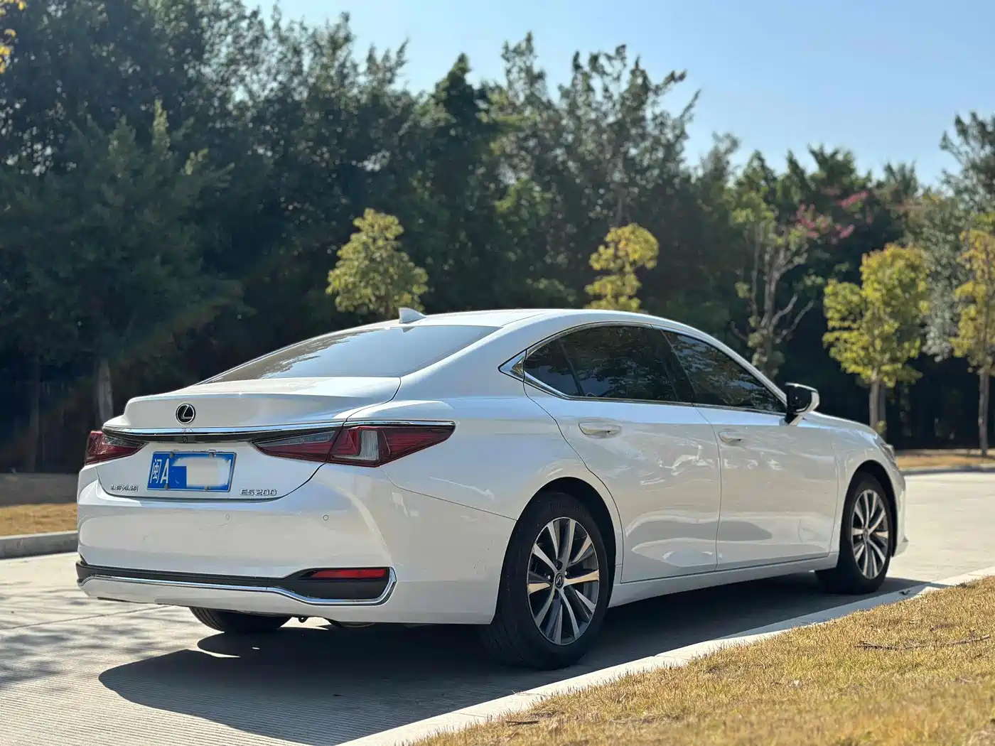 Lexus ES 2020 200 Excellence фото 4