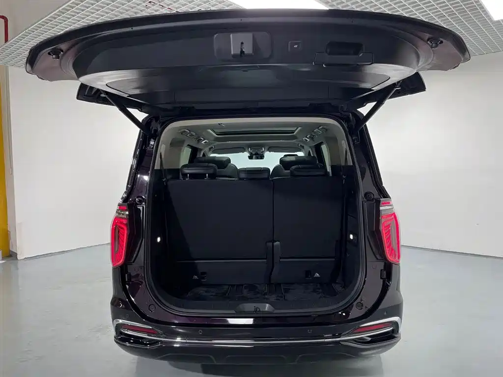 Hongqi HQ9 PHEV 2024 Model 2.0T AWD Luxury Edition фото 17