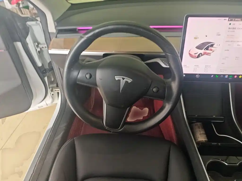 Tesla Model 3 (Import) 2019 2019 Long Range RWD Version
