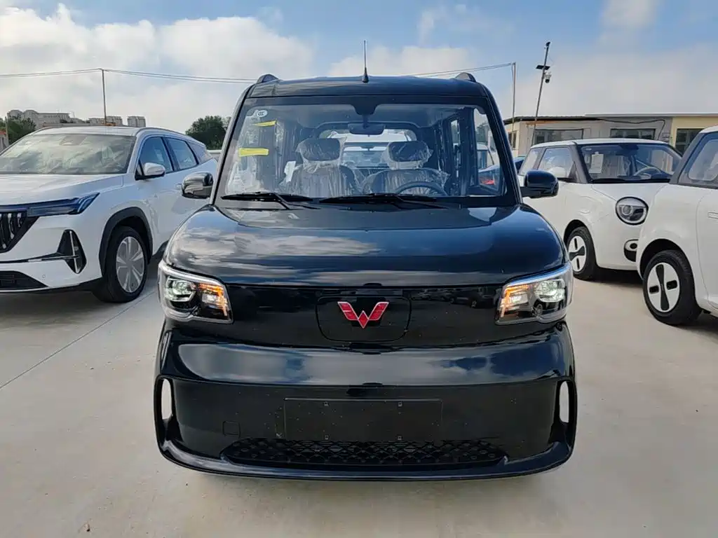 Wuling Motors Wuling Zhiguang NEV 2026 2025 Model 305km Base Version