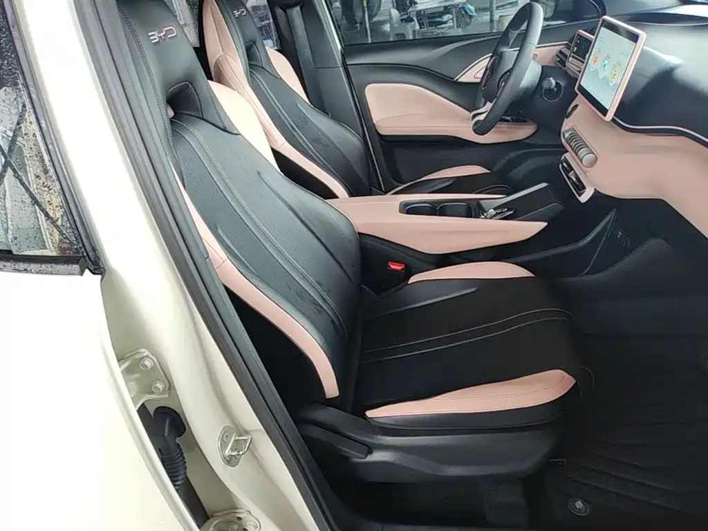 BYD Seagull 2024 Glory Edition 305km Vitality Edition фото 25