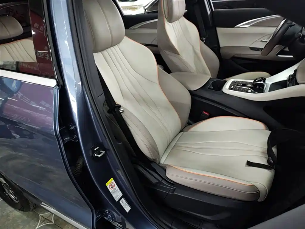 BYD Song Pro New Energy 2023 Champion Edition DM-i 71KM Leading Type фото 25