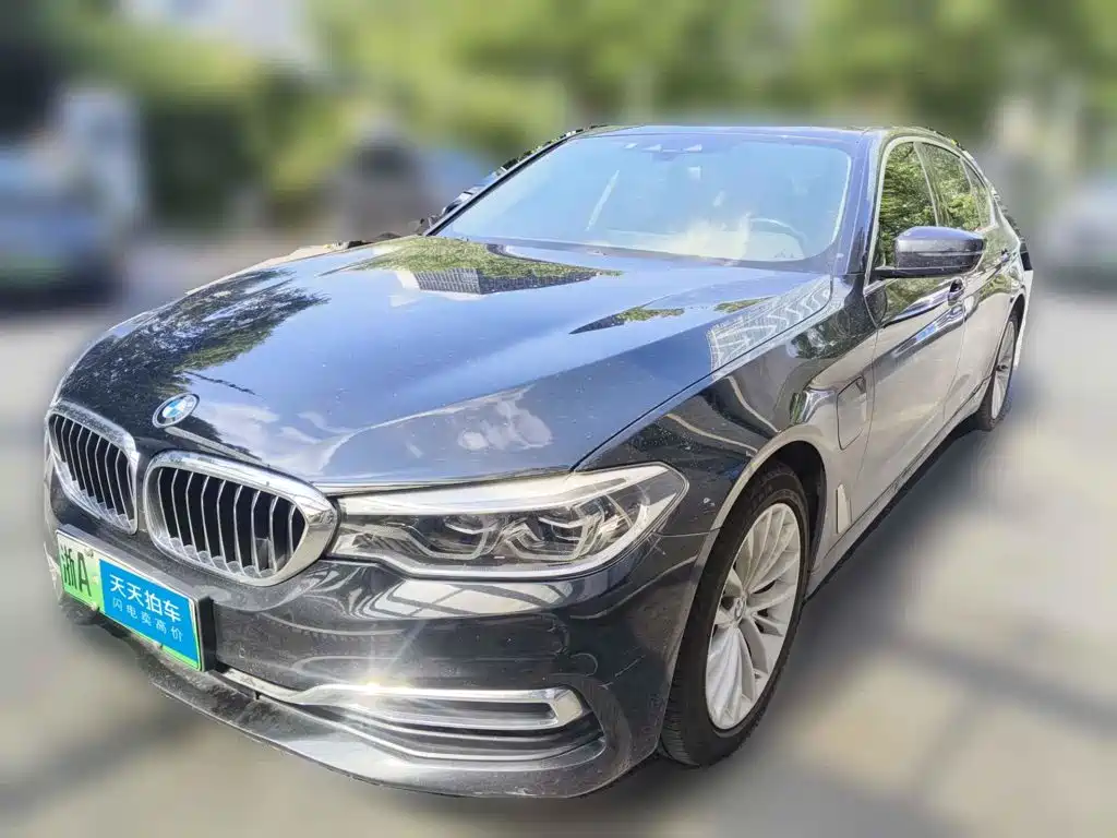 BMW 5 Series New Energy 2020