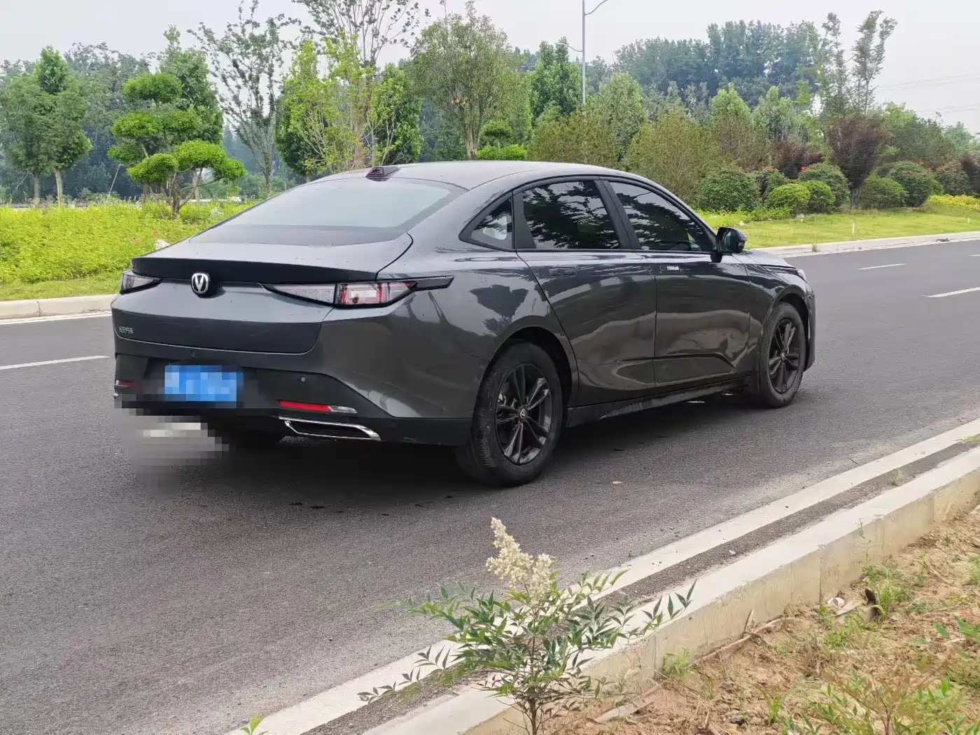 Changan Yida 2023 2023 Blue Whale NE 1.5T GDI DCT Enjoyment Edition
