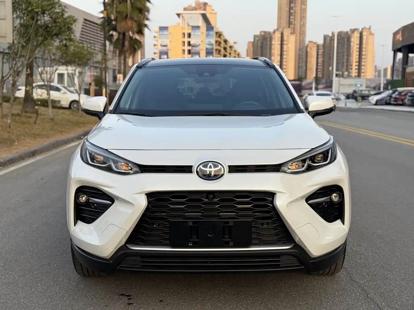 Toyota Wildlander 2023 Hybrid 2.5L E-CVT AWD Premium Edition фото 2