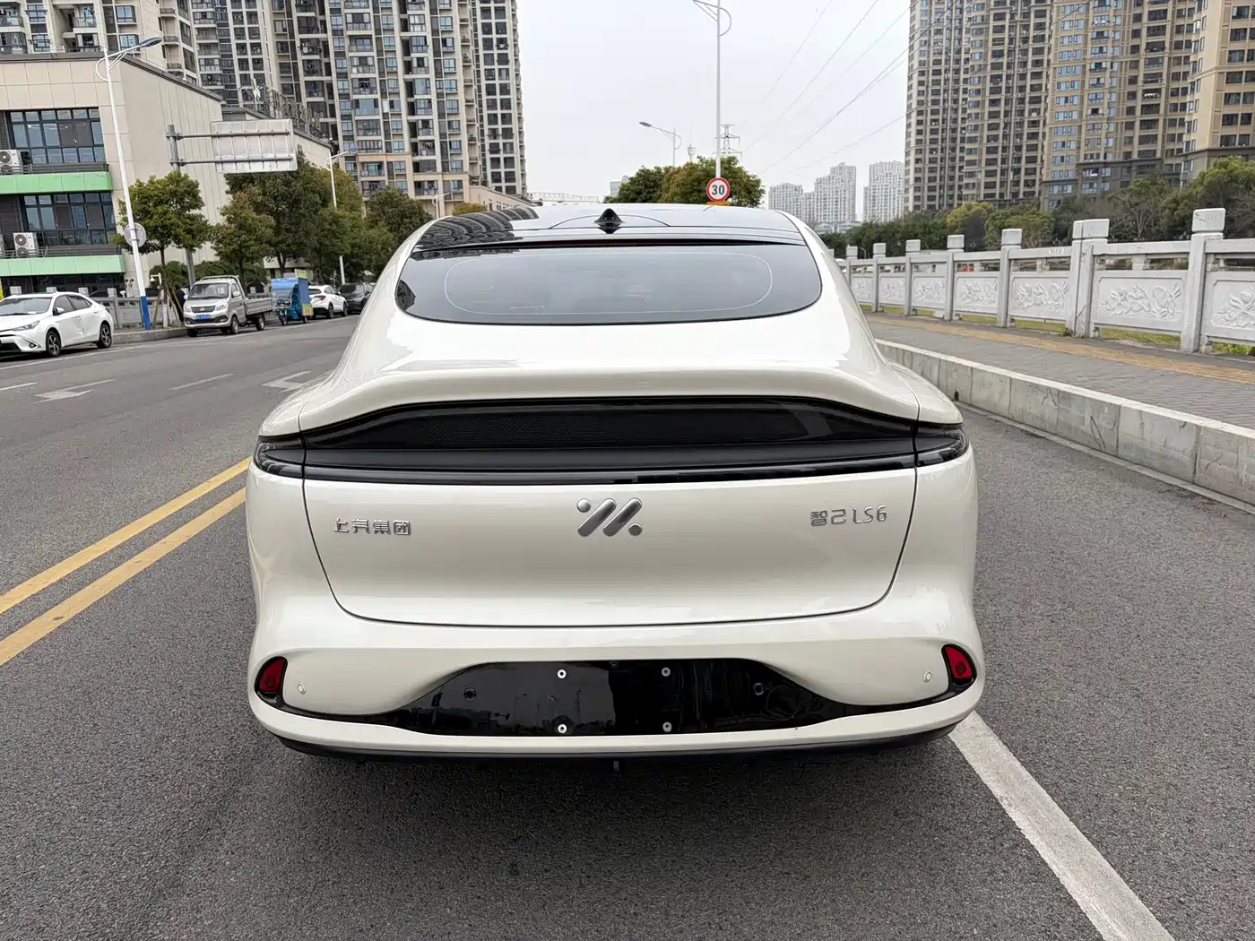 ZHIJI AUTOMOBILE ZHIJI LS6