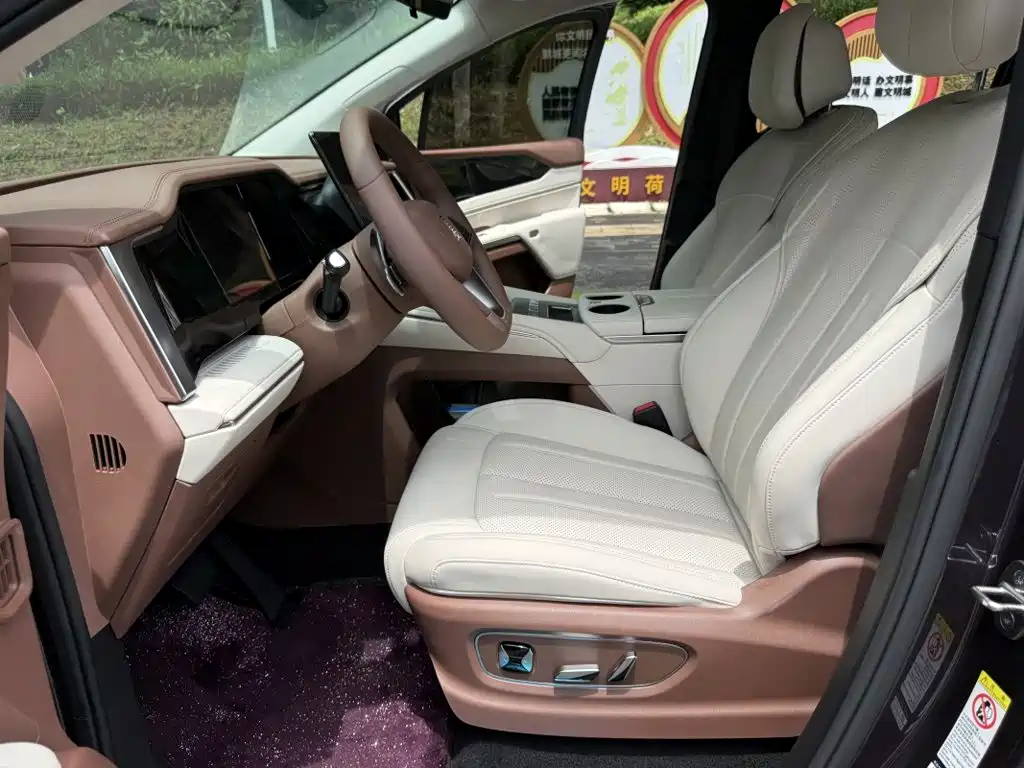 BYD Xia 2025 2025 DM-i 1.5T 100km Surpass Edition