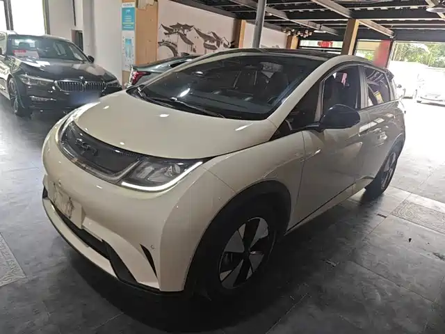 BYD Dolphin 420km, Стиль