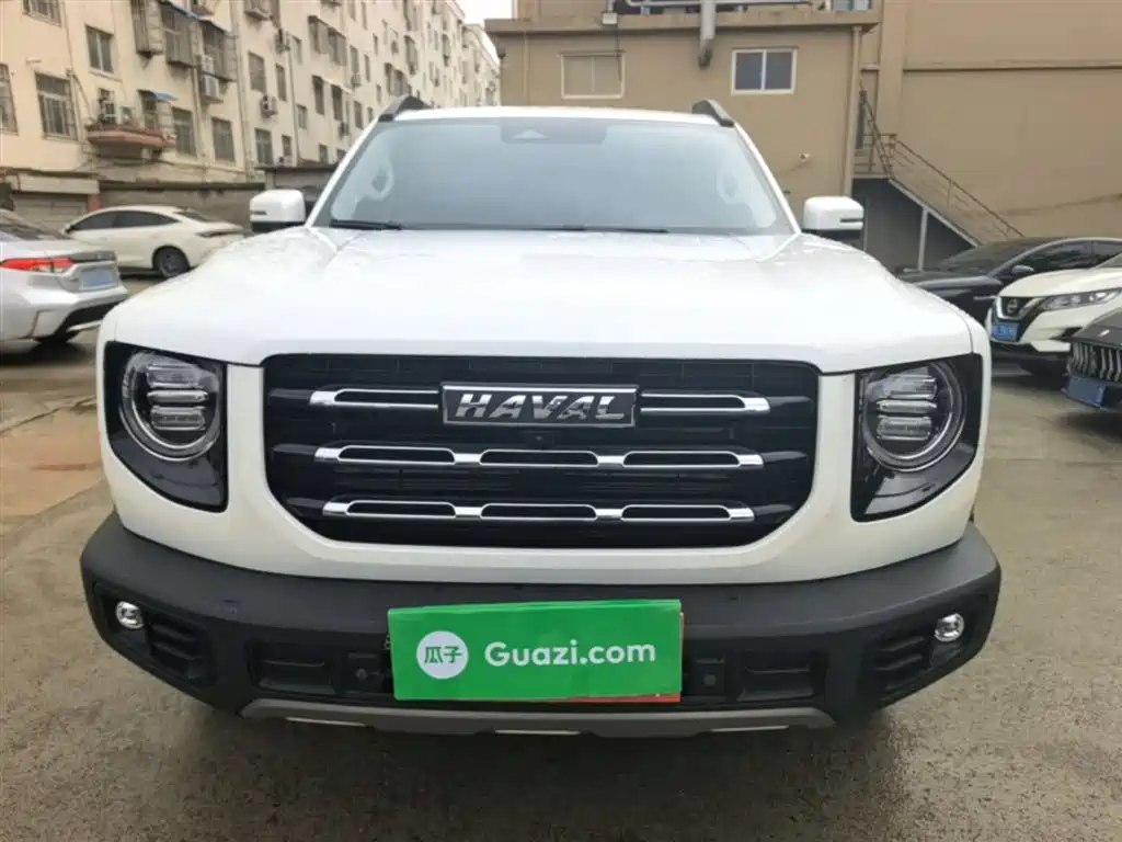 Haval Big Dog 2022 1.5T DCT FWD Border Collie Edition фото 3