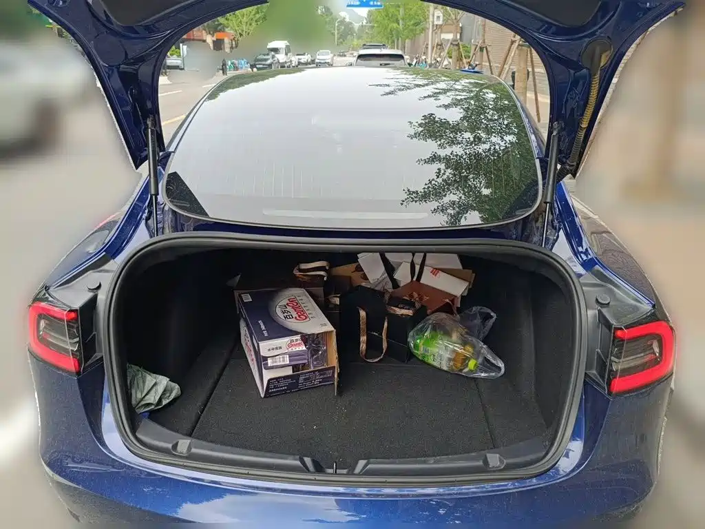 Фото 10 - Tesla Model 3